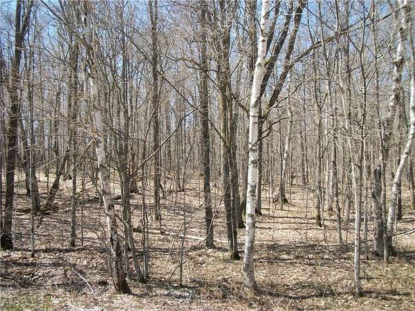 1 Acre of Land for Sale in Birchwood, Wisconsin
