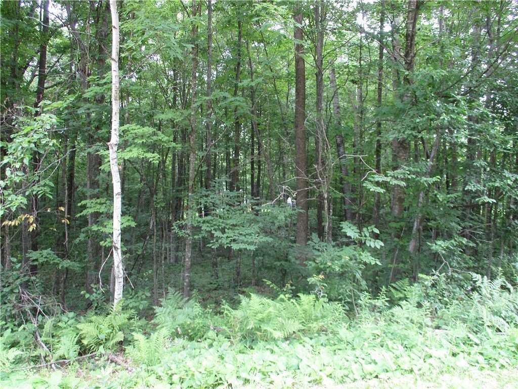 0.54 Acres of Land for Sale in Birchwood, Wisconsin