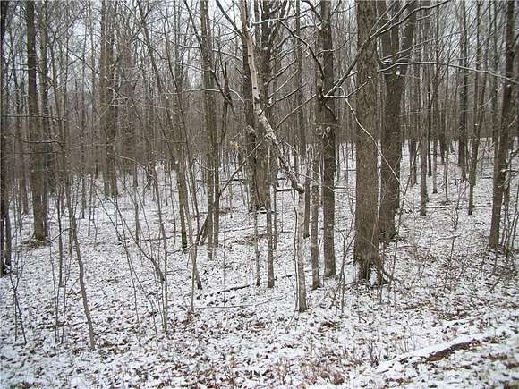 0.54 Acres of Residential Land for Sale in Birchwood, Wisconsin