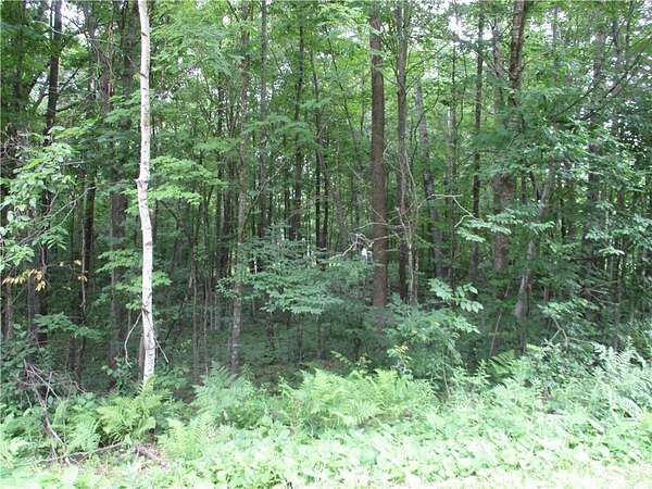 0.54 Acres of Land for Sale in Birchwood, Wisconsin