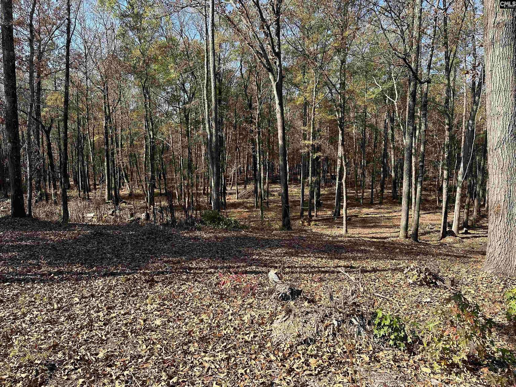 1.2 Acres of Residential Land for Sale in Blythewood, South Carolina