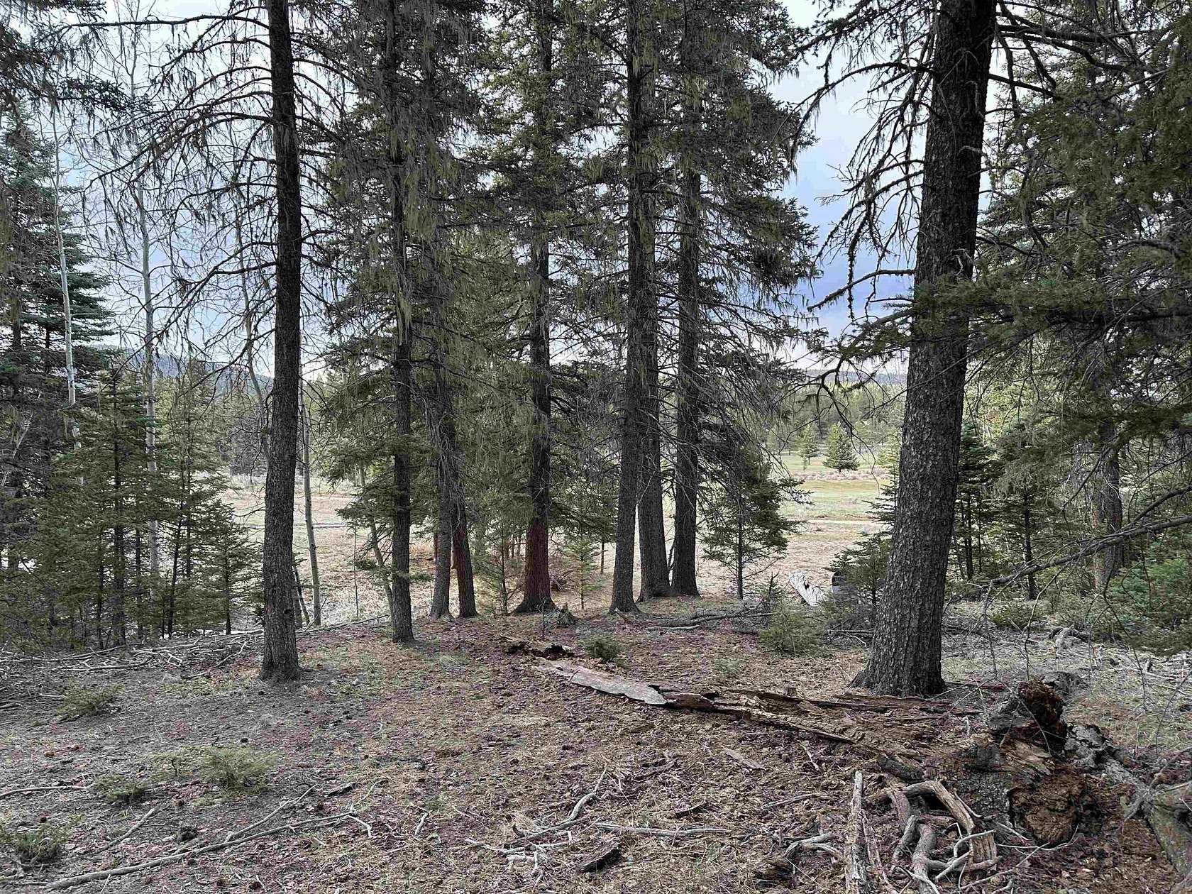 1.9 Acres of Land for Sale in Taos, New Mexico