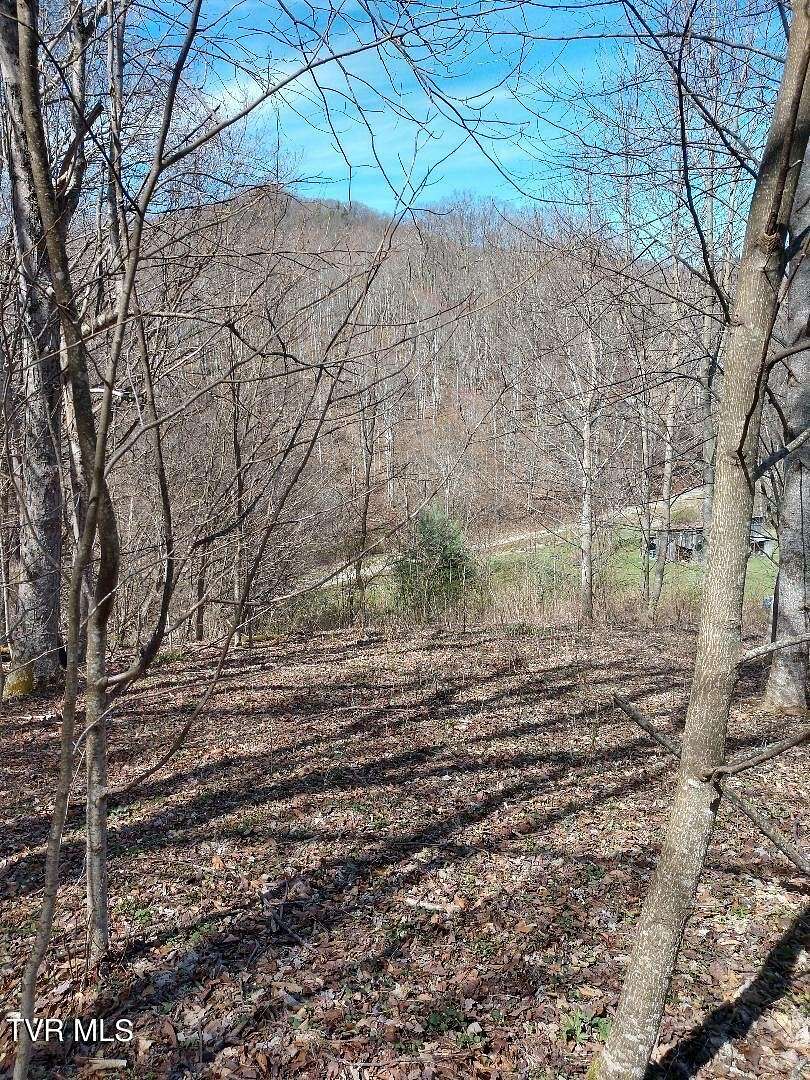 3.6 Acres of Land for Sale in Roan Mountain, Tennessee