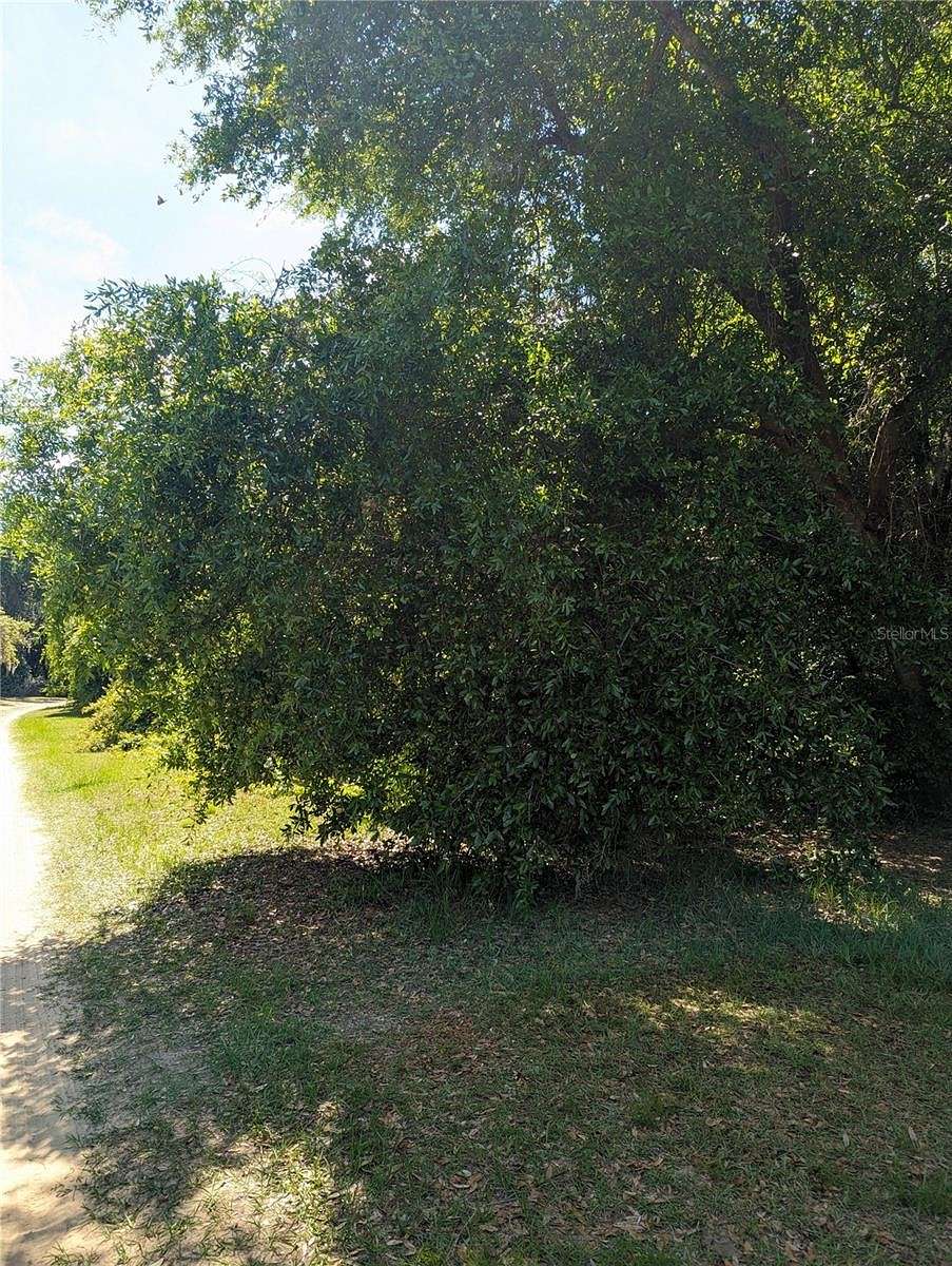 0.54 Acres of Residential Land for Sale in Fruitland Park, Florida