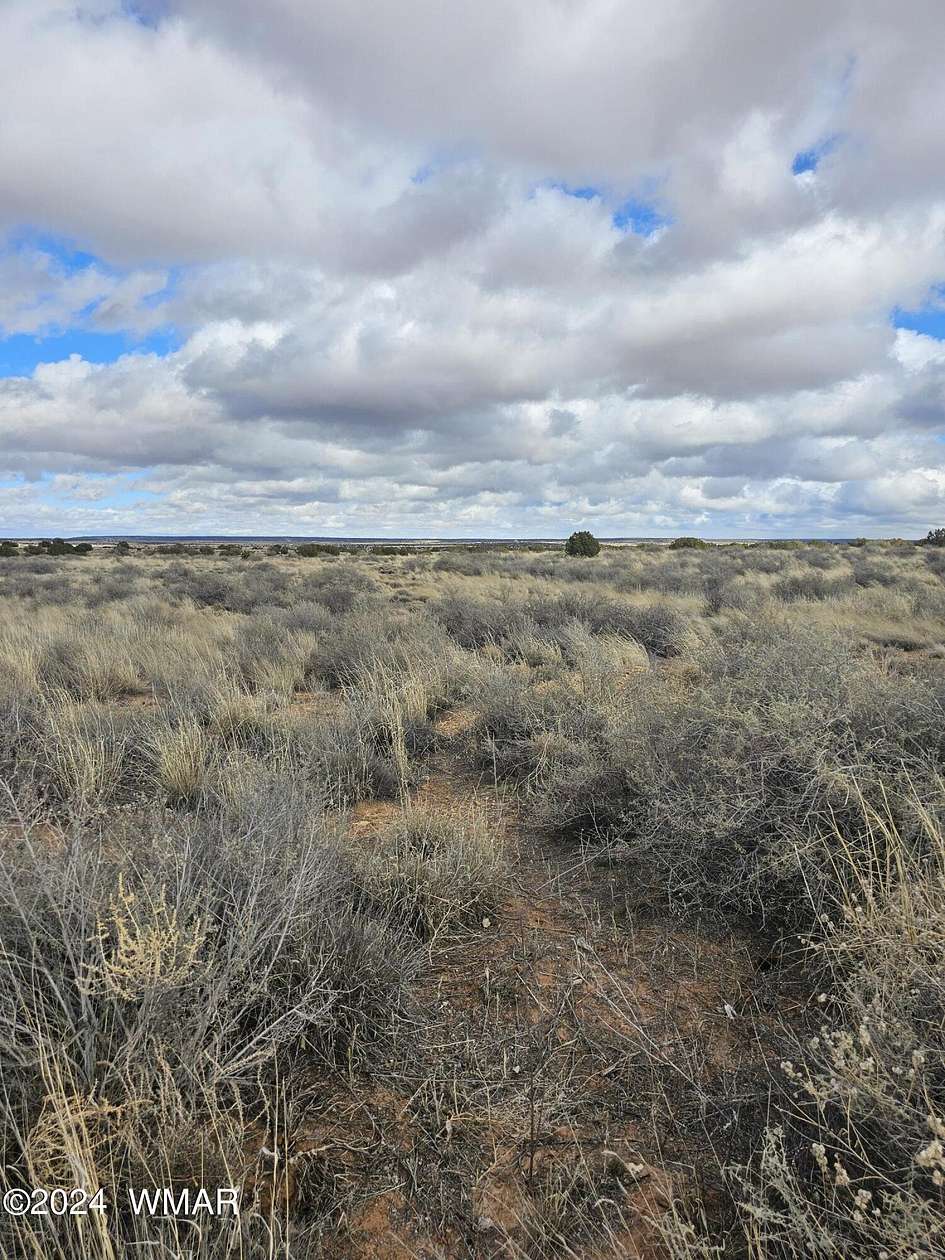 1 Acre of Residential Land for Sale in Snowflake, Arizona