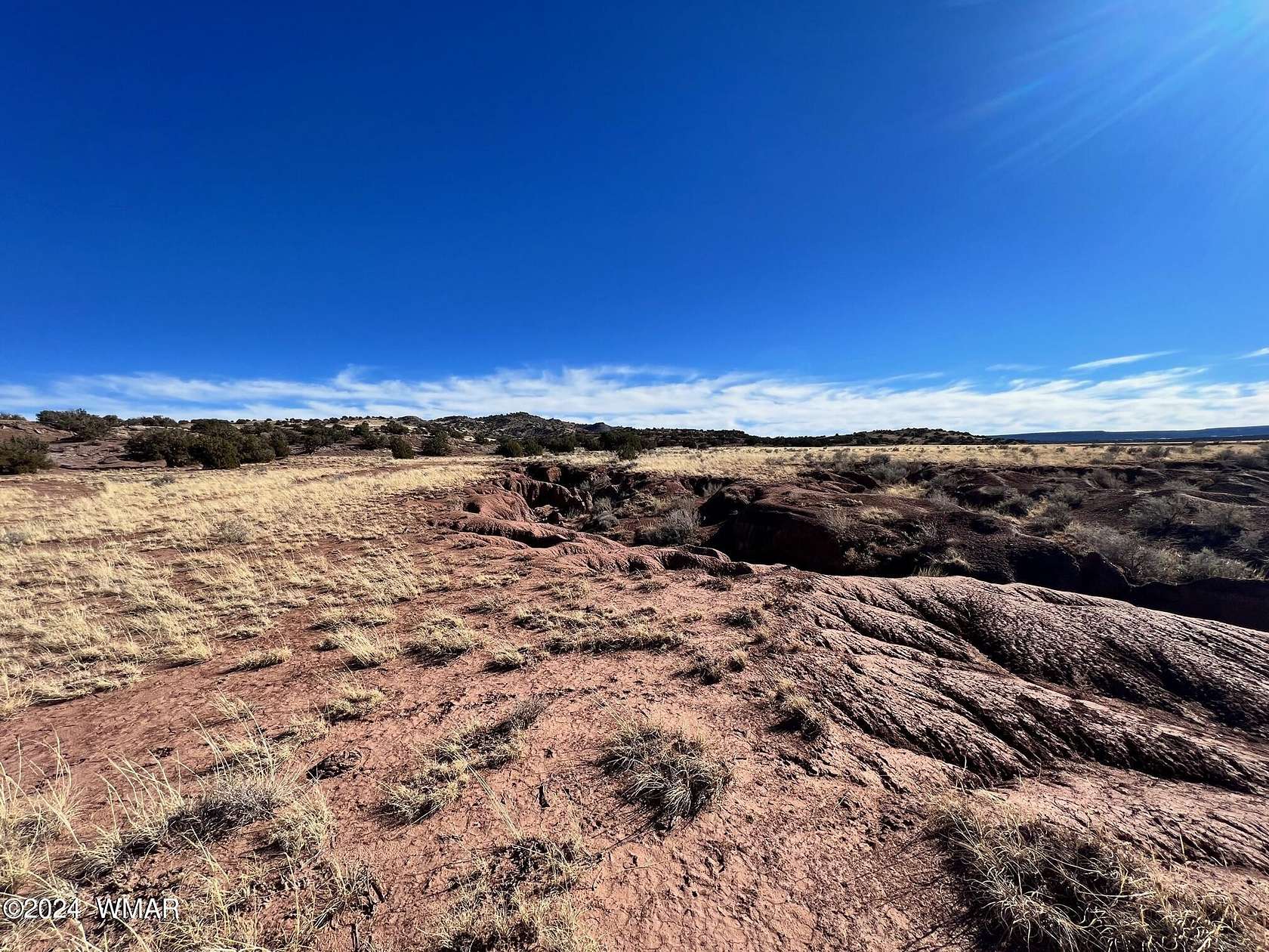 74.2 Acres of Land for Sale in Concho, Arizona