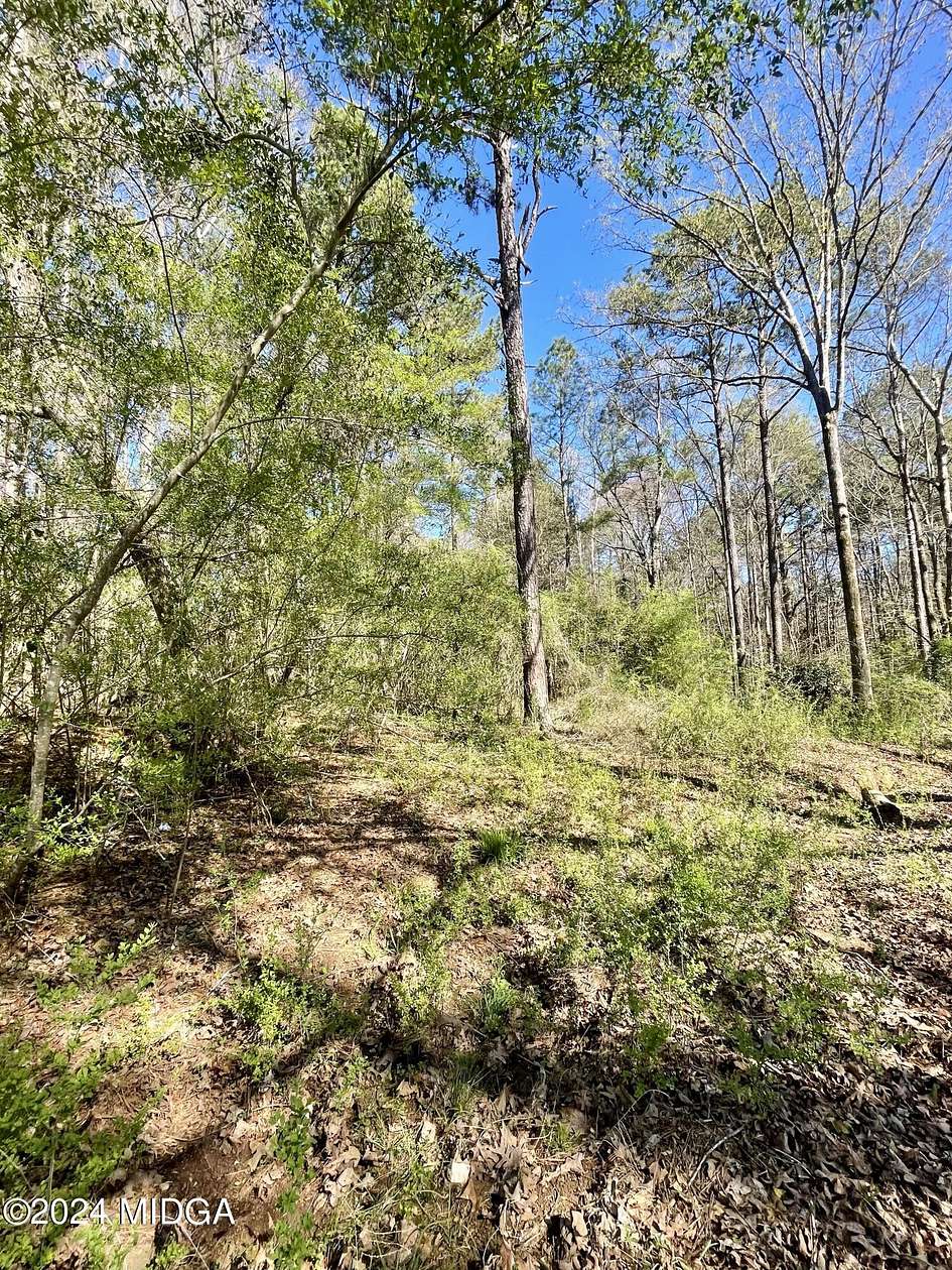 37.8 Acres of Land for Sale in Jackson, Georgia