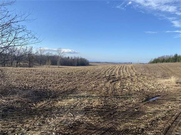 14.5 Acres of Land for Sale in Vernon, New York