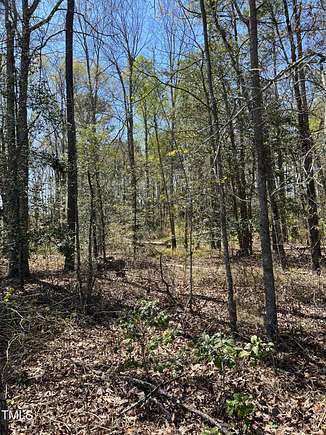 10.4 Acres of Land for Sale in Willow Spring, North Carolina