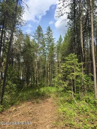 6.69 Acres of Residential Land for Sale in Priest River, Idaho