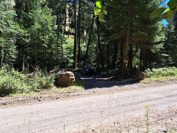 0.6 Acres of Residential Land for Sale in Imnaha, Oregon