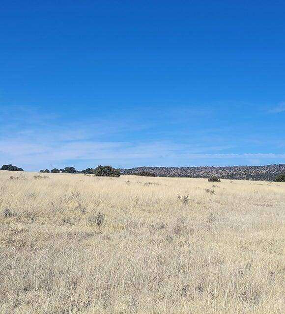 19.8 Acres of Land for Sale in Quemado, New Mexico