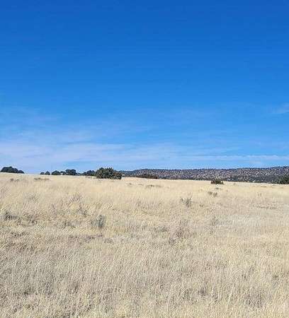 19.8 Acres of Land for Sale in Quemado, New Mexico