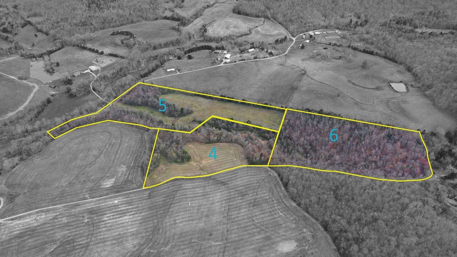 16.5 Acres of Land for Sale in Lebanon, Kentucky
