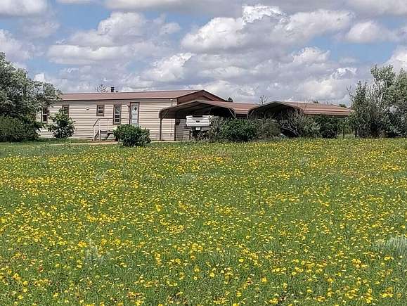 6.5 Acres of Residential Land with Home for Sale in Fritch, Texas