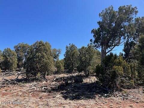 10 Acres of Residential Land for Sale in Clay Springs, Arizona