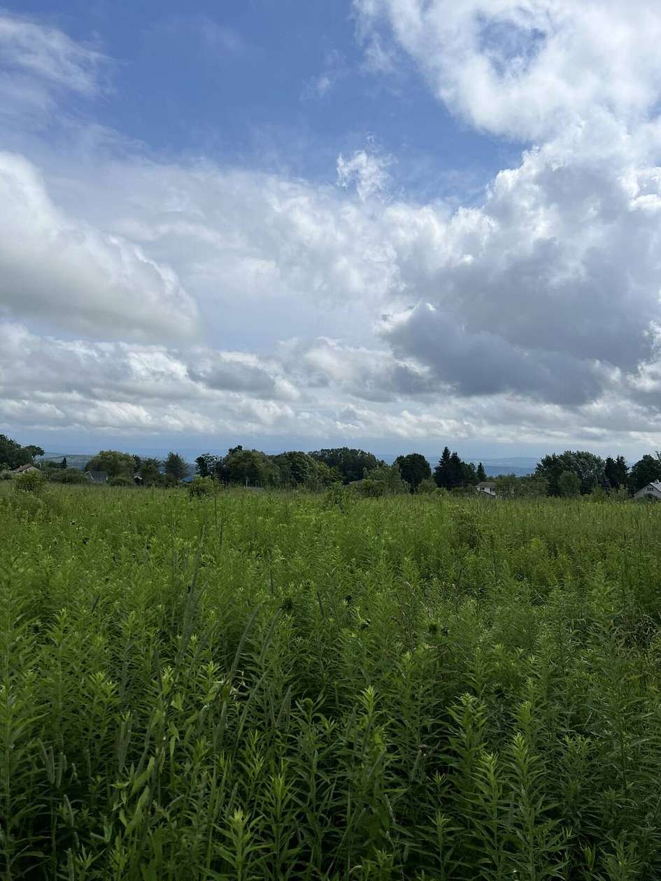 17 Acres of Land for Sale in Utica, New York