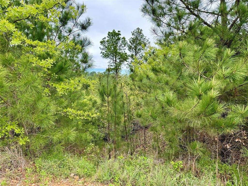 Residential Land for Sale in Bastrop, Texas