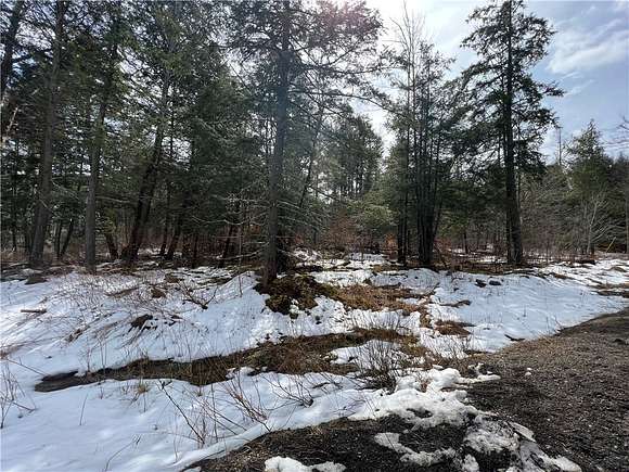 9.4 Acres of Residential Land with Home for Sale in Otego, New York