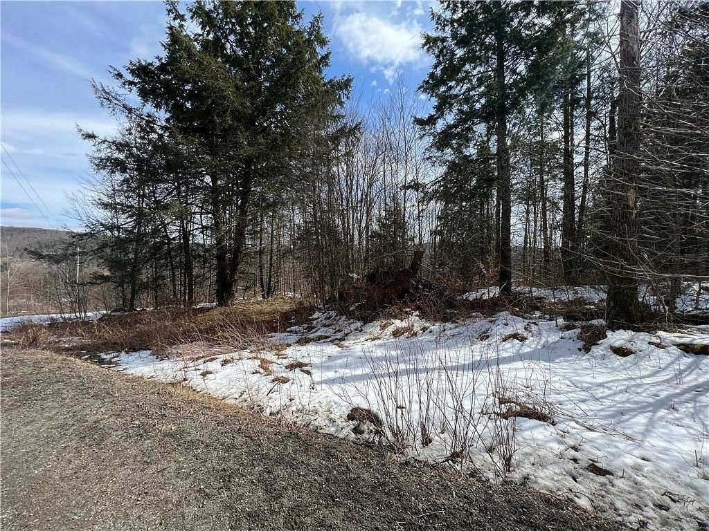 22.1 Acres of Recreational & Residential Land for Sale in Otego, New York