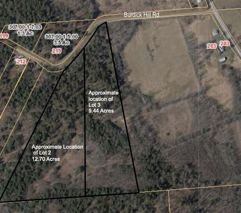 22.1 Acres of Recreational Land with Home for Sale in Otego, New York