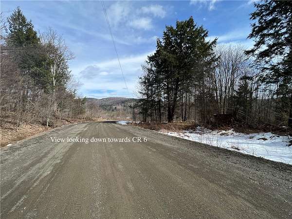 22.1 Acres of Recreational Land for Sale in Otego, New York