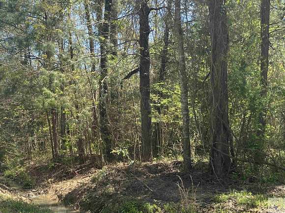 0.35 Acres of Residential Land for Sale in Texarkana, Texas