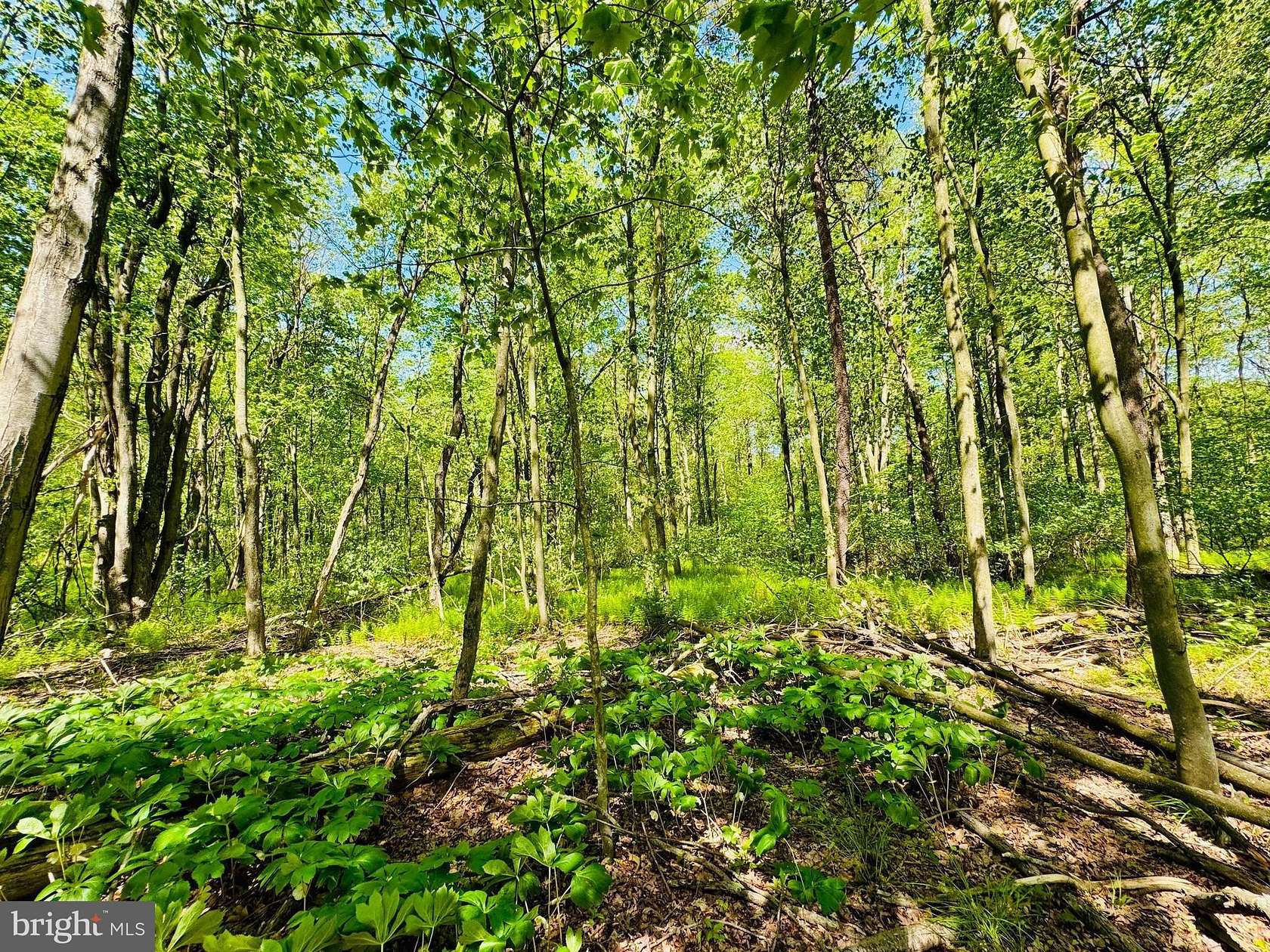 3.83 Acres of Residential Land for Sale in James Creek, Pennsylvania