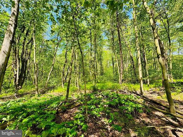 3.83 Acres of Residential Land for Sale in James Creek, Pennsylvania