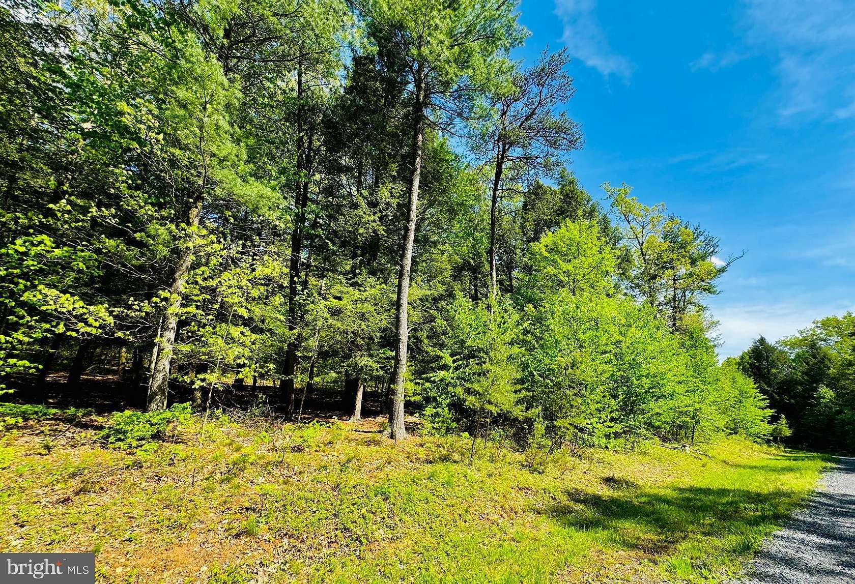 4.66 Acres of Residential Land for Sale in James Creek, Pennsylvania