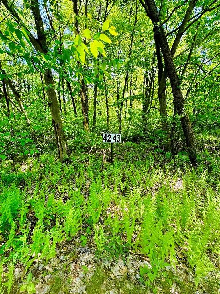2 Acres of Residential Land for Sale in James Creek, Pennsylvania