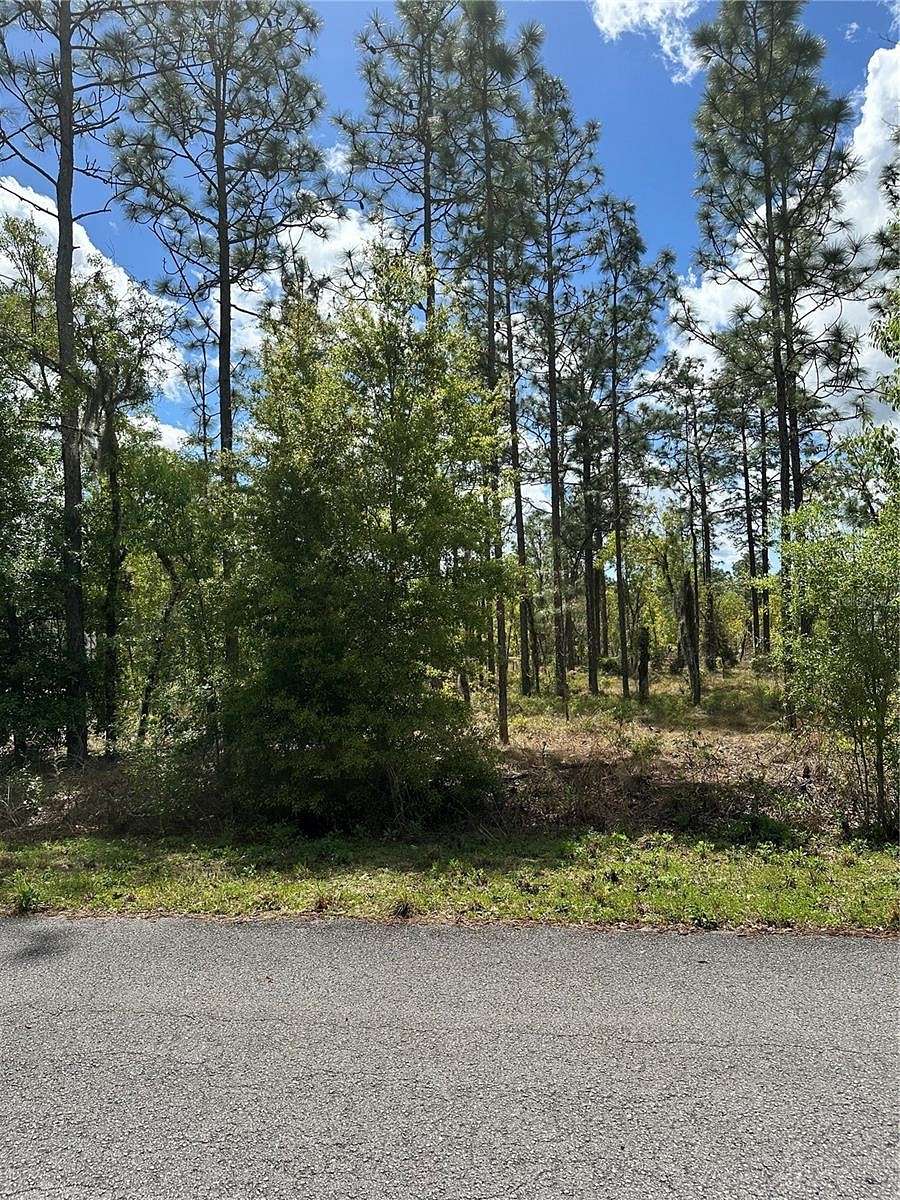 0.24 Acres of Residential Land for Sale in Dunnellon, Florida