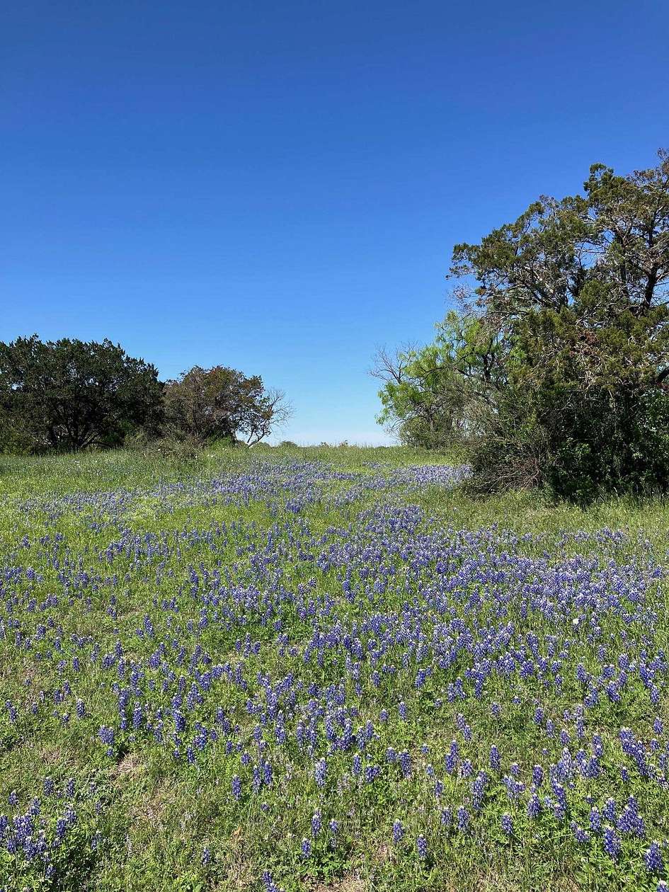 0.5 Acres of Residential Land for Sale in Horseshoe Bay, Texas