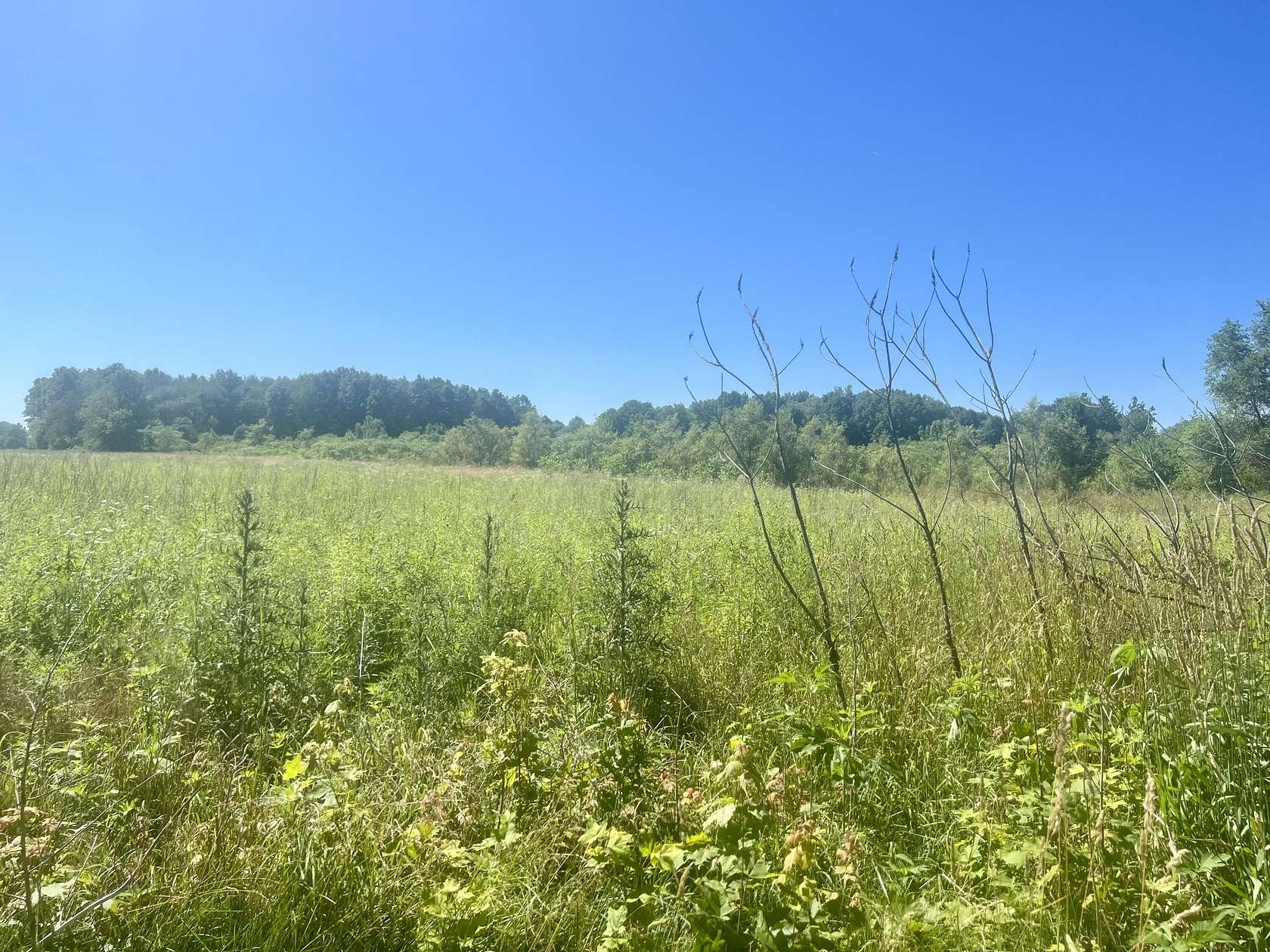 12 Acres of Land for Sale in Berrien Springs, Michigan