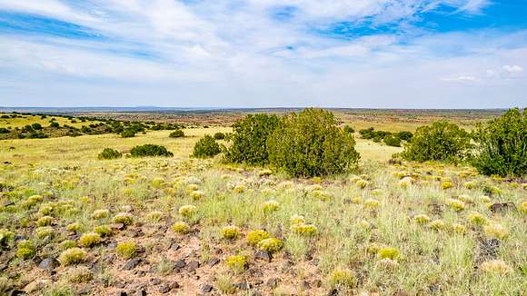 Hunting, Concho Ranch