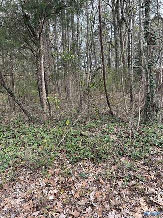 0.4 Acres of Residential Land for Sale in Rainbow City, Alabama