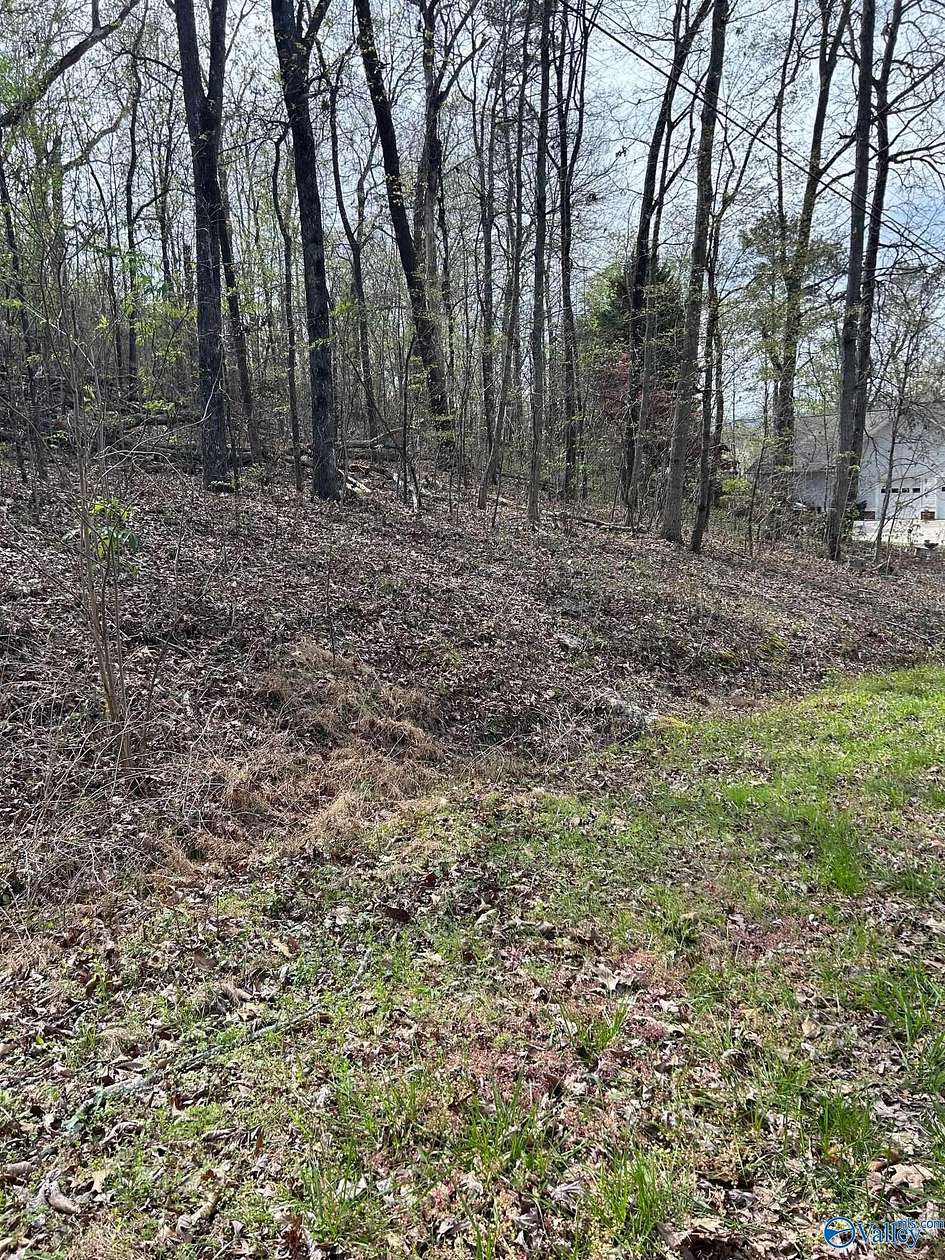 2 Acres of Residential Land for Sale in Southside, Alabama