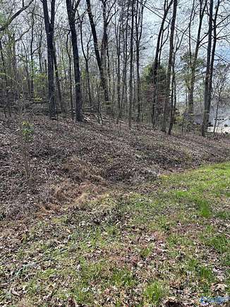 2 Acres of Residential Land for Sale in Southside, Alabama