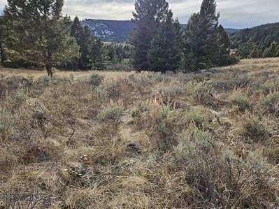 0.48 Acres of Land for Sale in Martinsdale, Montana