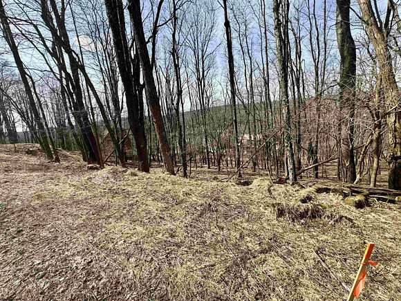 0.35 Acres of Residential Land for Sale in Terra Alta, West Virginia