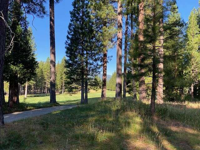 0.5 Acres of Residential Land for Sale in Clio, California