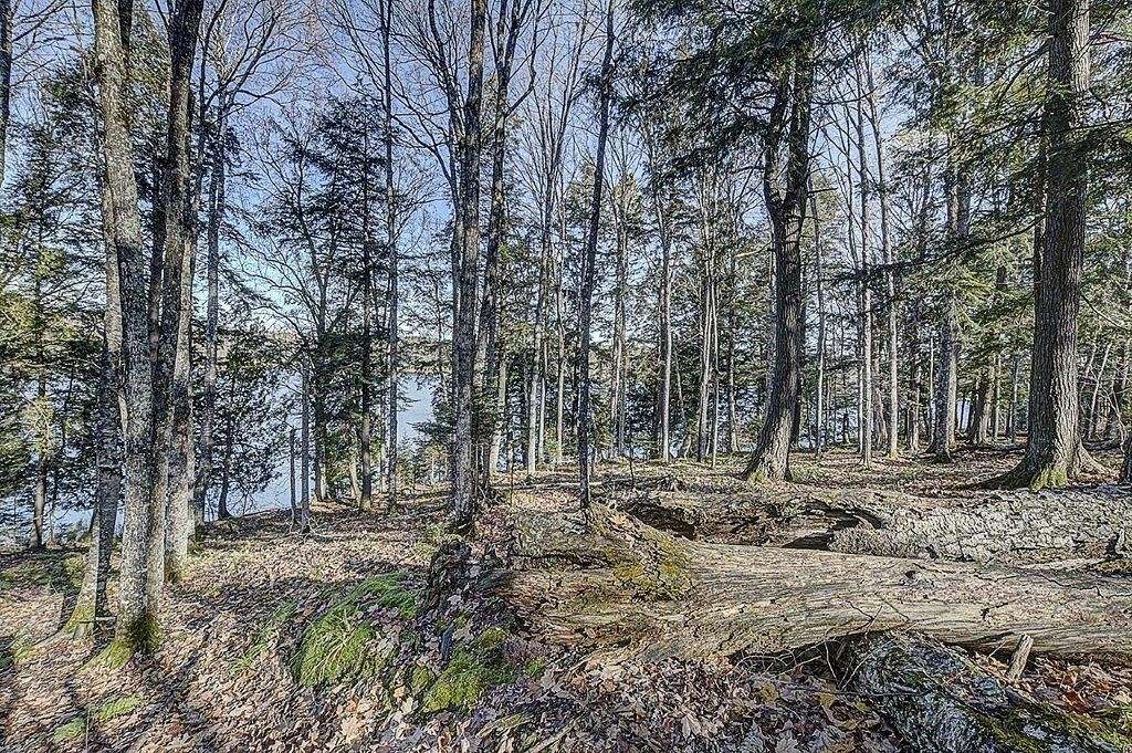 1.7 Acres of Land for Sale in Presque Isle, Wisconsin