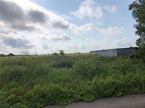 20 Acres of Agricultural Land for Sale in Robstown, Texas
