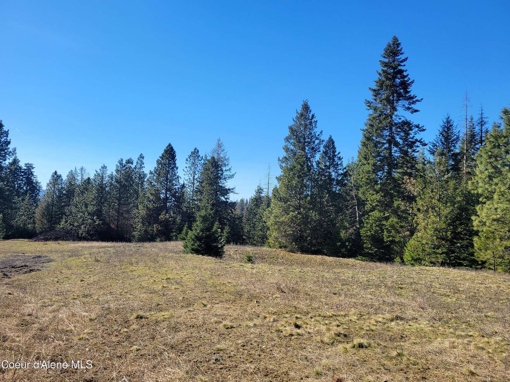 9.2 Acres of Residential Land for Sale in Coeur d'Alene, Idaho