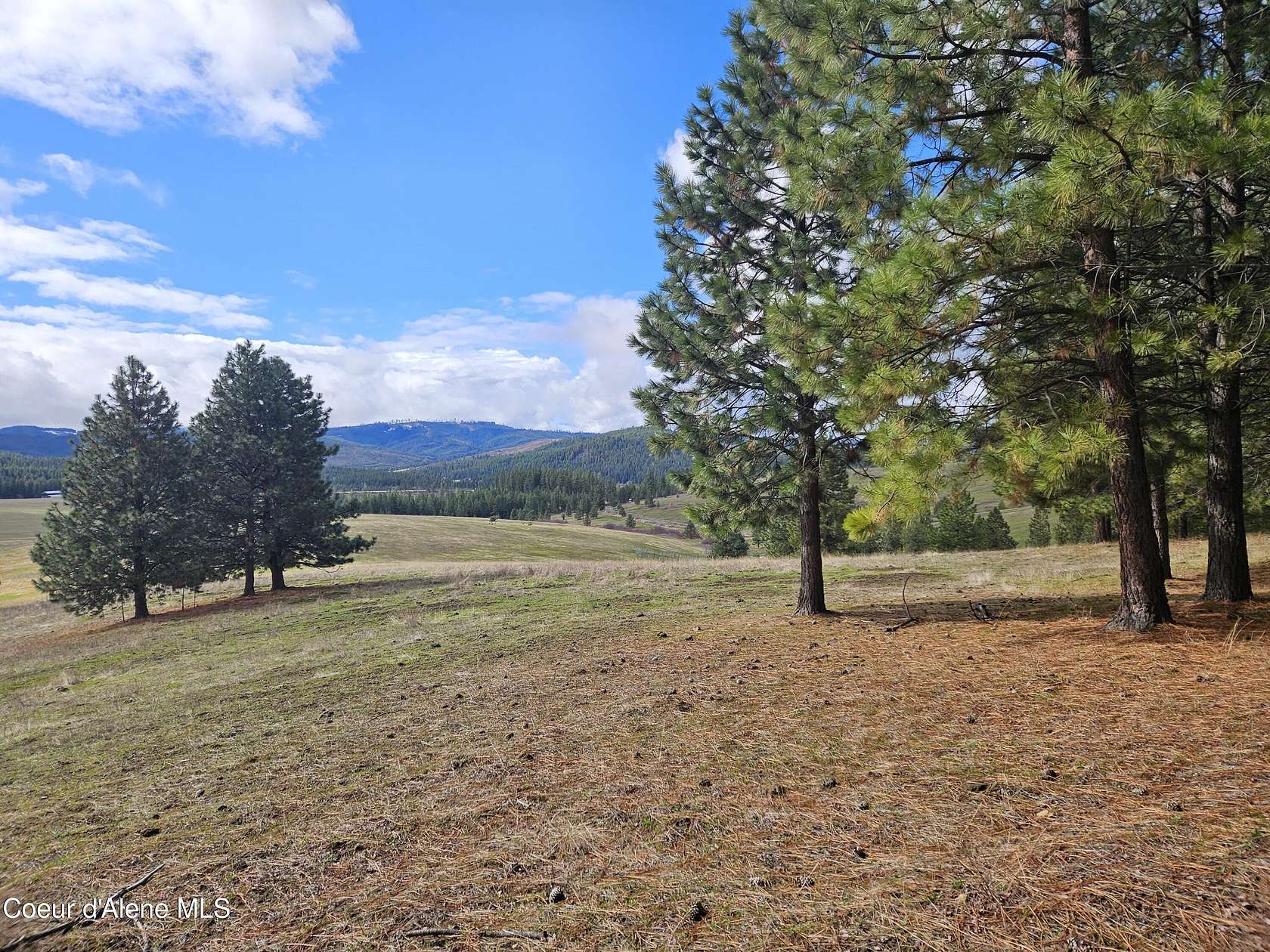 224 Acres of Land for Sale in Tensed, Idaho