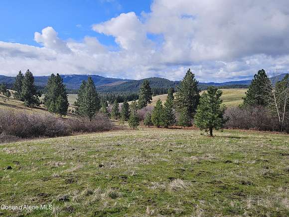 224 Acres of Land for Sale in Tensed, Idaho