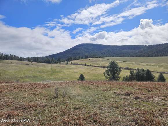 224 Acres of Land for Sale in Tensed, Idaho - LandSearch