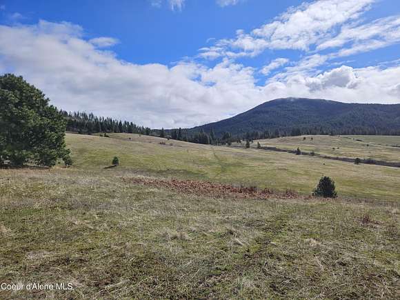 224 Acres of Land for Sale in Tensed, Idaho - LandSearch