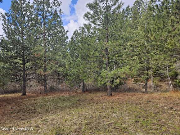 224 Acres of Land for Sale in Tensed, Idaho - LandSearch