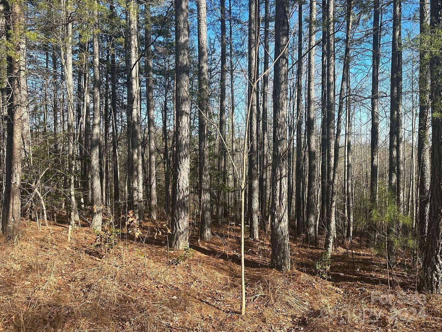 2.8 Acres of Land for Sale in Rutherfordton, North Carolina
